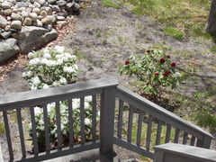 Image file: photo03.jpg