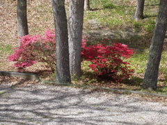 Image file: photo03.jpg