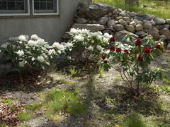 Image file: photo04.jpg