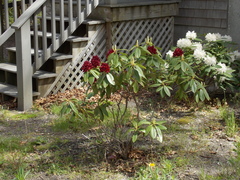 Image file: photo06.jpg