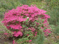 Image file: photo01.jpg