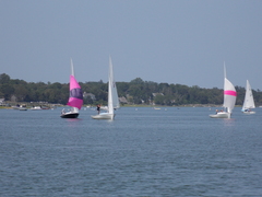 Image file: photo07.jpg