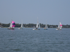 Image file: photo13.jpg