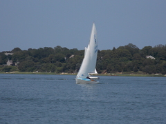 Image file: photo16.jpg