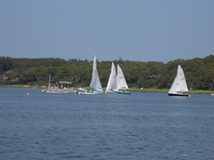 Image file: photo31.jpg