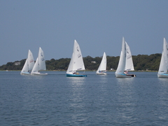 Image file: photo39.jpg