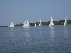 Image file: photo40.jpg