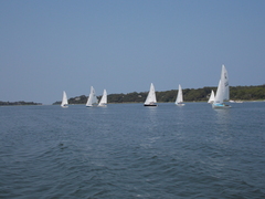 Image file: photo42.jpg