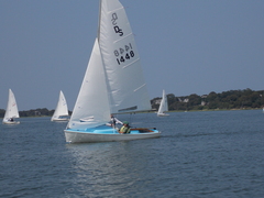 Image file: photo43.jpg