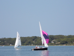 Image file: photo50.jpg