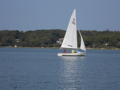 Image file: photo58.jpg