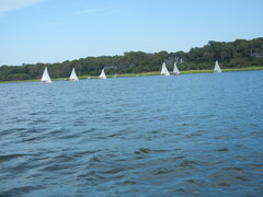 Image file: photo41.jpg