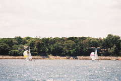 Image file: photo12.jpg