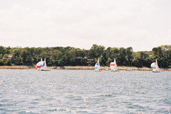 Image file: photo16.jpg