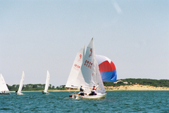 Image file: photo33.jpg