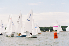 Image file: photo52.jpg