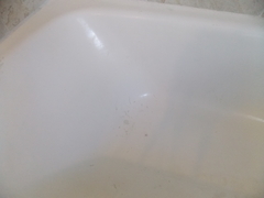 Image file: photo03.jpg