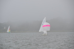 Image file: photo25.jpg