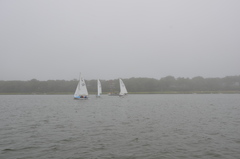 Image file: photo42.jpg