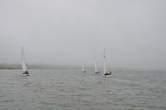 Image file: photo58.jpg