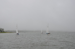 Image file: photo59.jpg