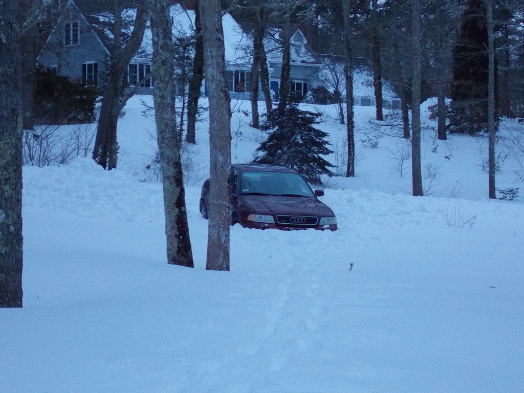 No description provided for: /2015/01-03/0128-blizzard/photo01.html