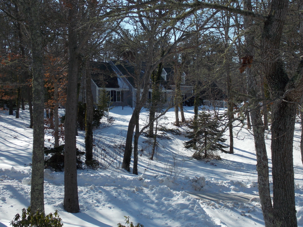 No description provided for: /2015/01-03/0201-more-snow/photo02.html