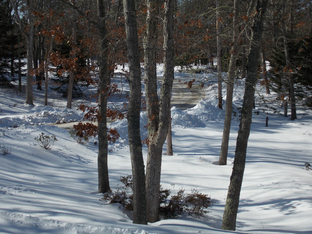 No description provided for: /2015/01-03/0201-more-snow/photo03.html