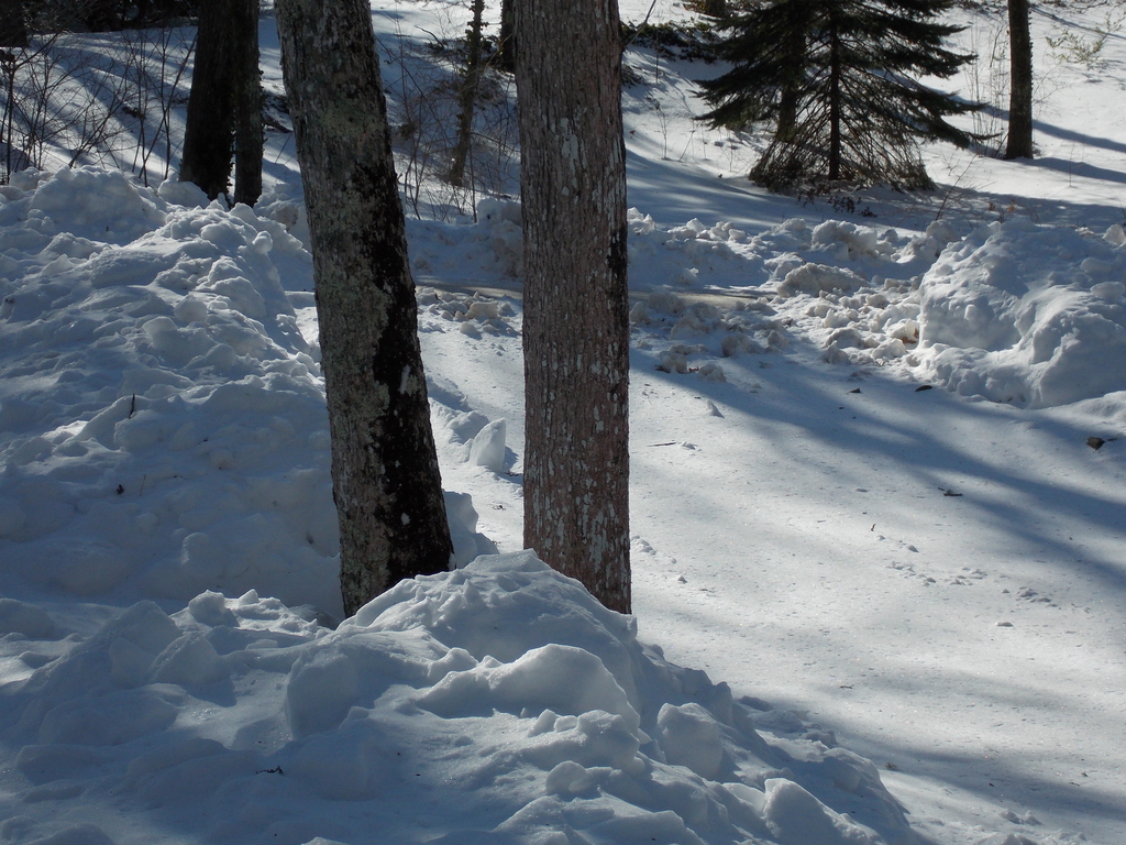 No description provided for: /2015/01-03/0201-more-snow/photo05.html