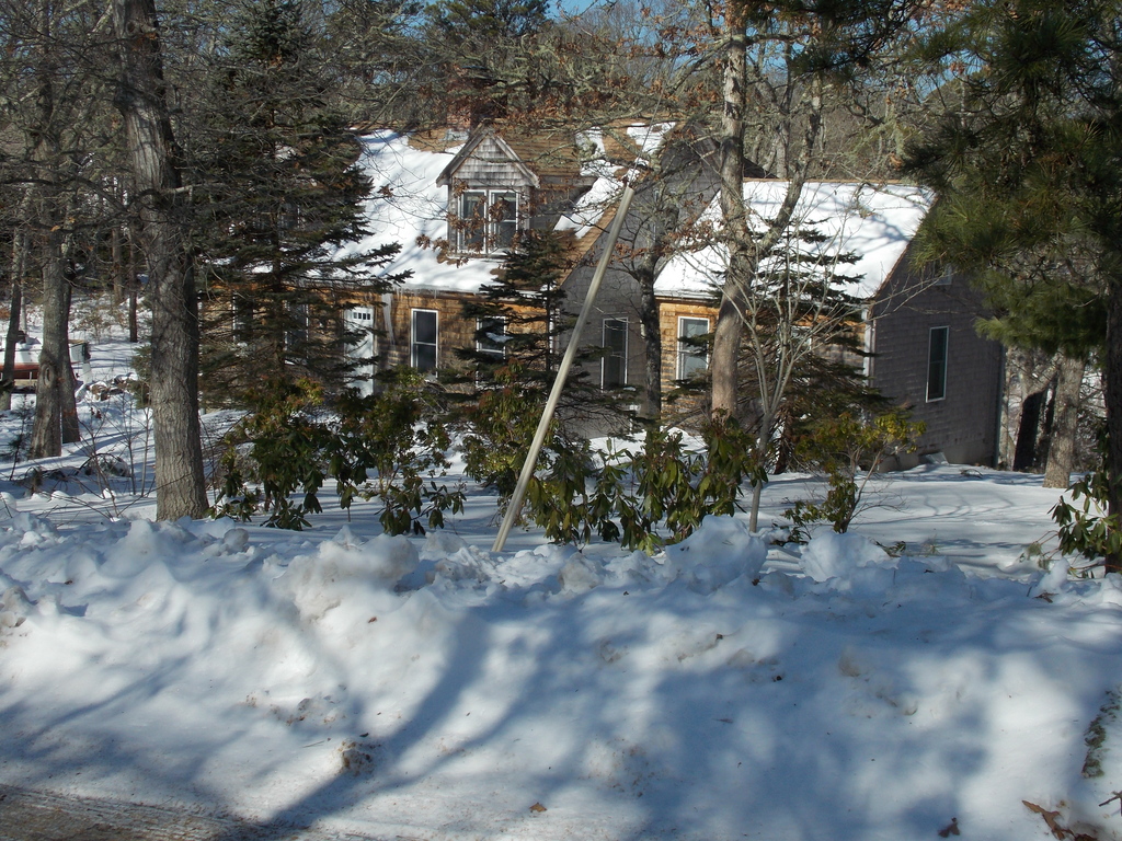 No description provided for: /2015/01-03/0201-more-snow/photo14.html