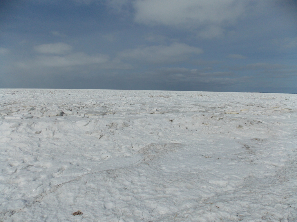 No description provided for: /2015/01-03/0224-glaciers/photo12.html