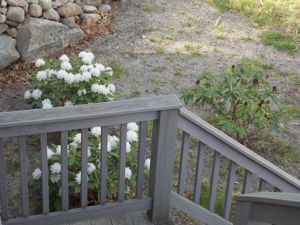 No description provided for: /2015/04-06/0518-rhodies/photo03.html