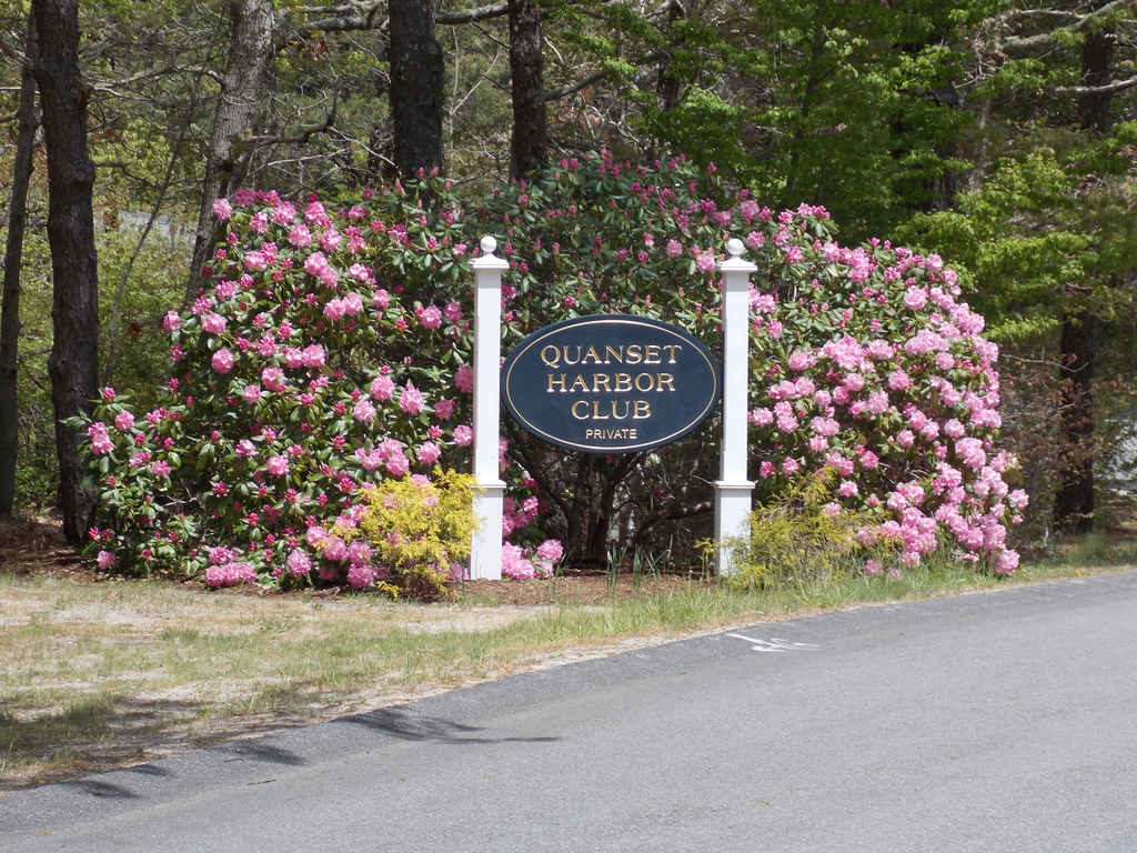 No description provided for: /2015/04-06/0520-rhodies/photo04.html