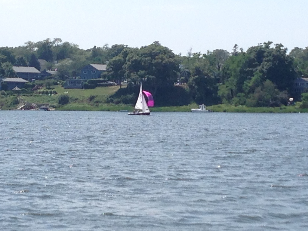 No description provided for: /2015/07-09/0719-fleet15-josie/photo02.html