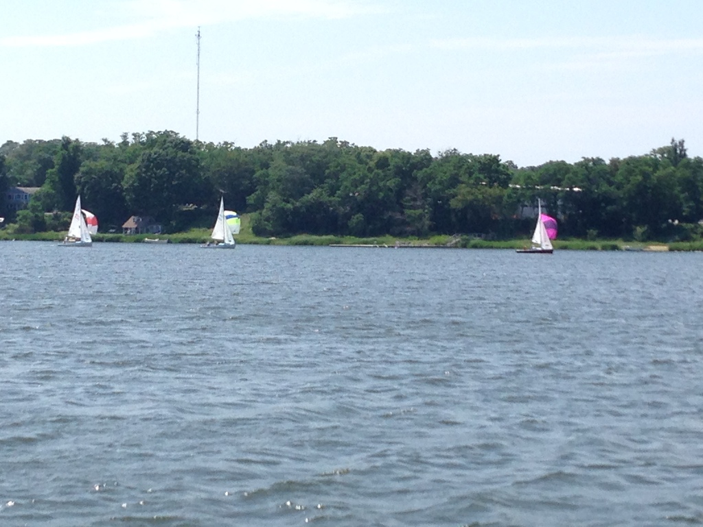 No description provided for: /2015/07-09/0719-fleet15-josie/photo03.html