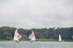 Image file: photo21.jpg