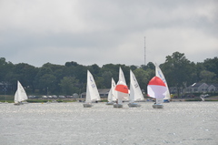 Image file: photo26.jpg