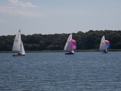 Image file: photo005.jpg