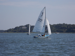 Image file: photo017.jpg