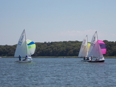 Image file: photo036.jpg