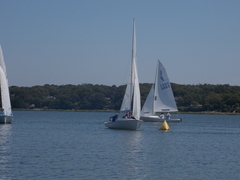 Image file: photo071.jpg