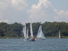 Image file: photo090.jpg