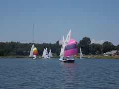 Image file: photo095.jpg