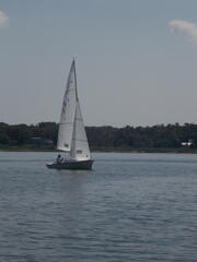 Image file: photo123.jpg