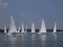 Image file: photo146.jpg