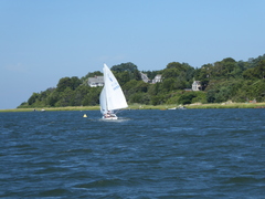 Image file: photo45.jpg