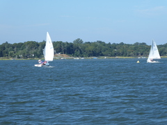 Image file: photo51.jpg