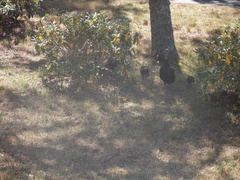 Image file: photo01.jpg