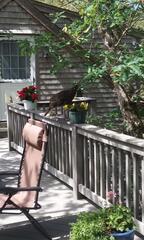 Image file: photo01.jpg