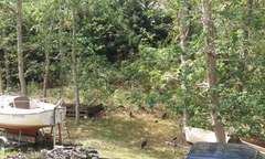 Image file: photo03.jpg